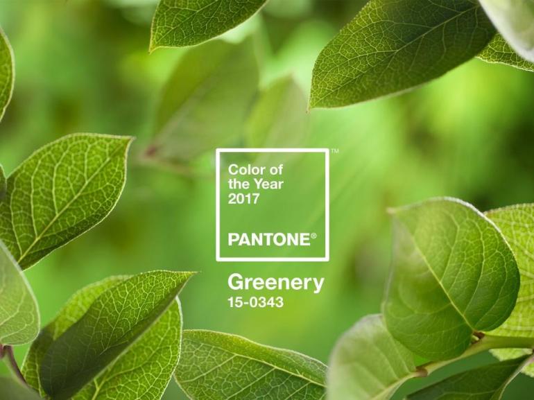 Pantone's colour of the year may the reason that botanical interiors are still going strong. Greenery is a fresh and zesty yellow-green shade that evokes the first days of spring when nature’s greens revive, restore and renew. Illustrative of flourishing foliage and the lushness of the great outdoors, the fortifying attributes of Greenery signals consumers to take a deep breath, oxygenate and reinvigorate.